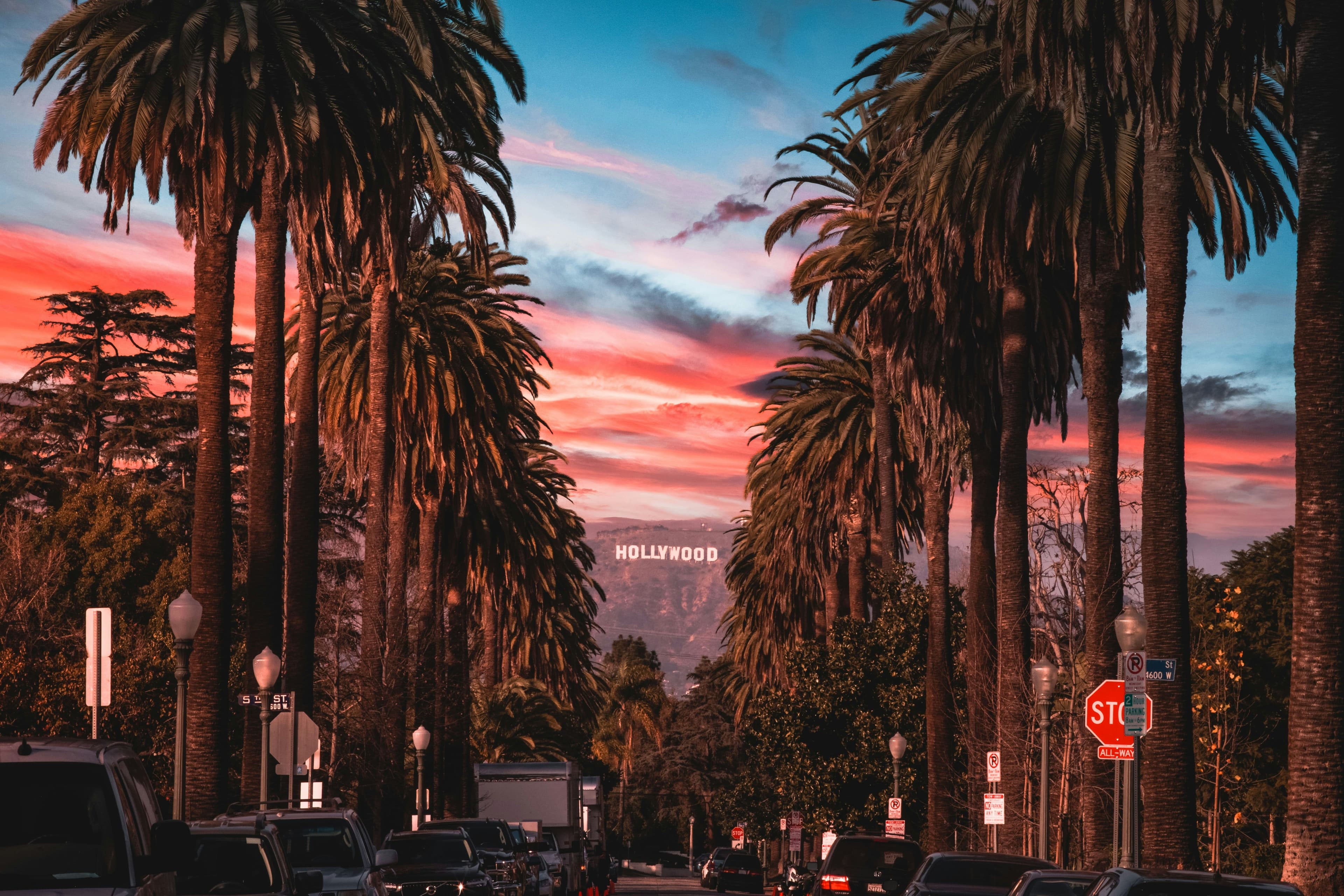 Palm lined street in Los Angeles with the Hollywood Hills in the background