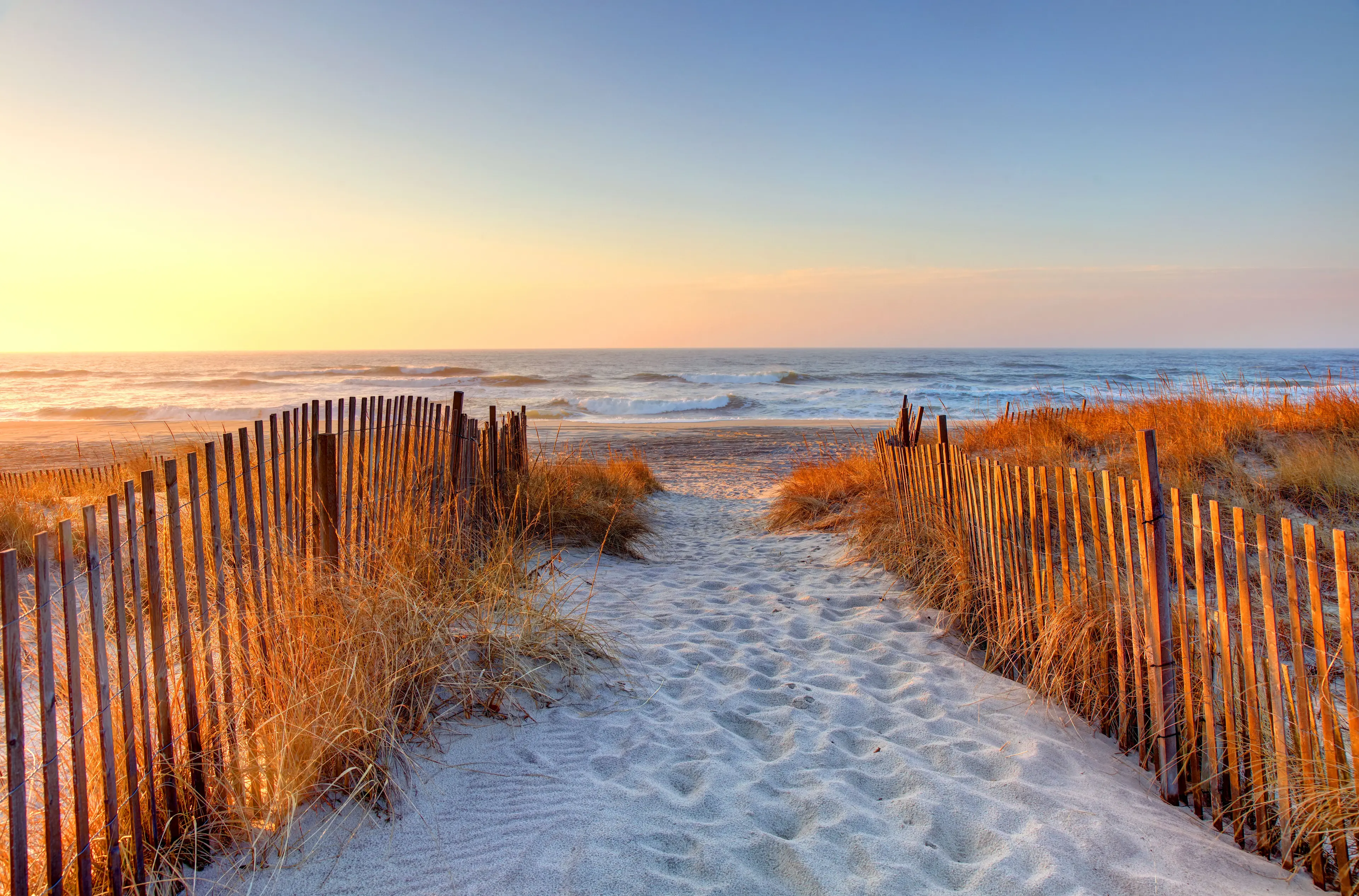 Your Guide to a Summer in the Hamptons 