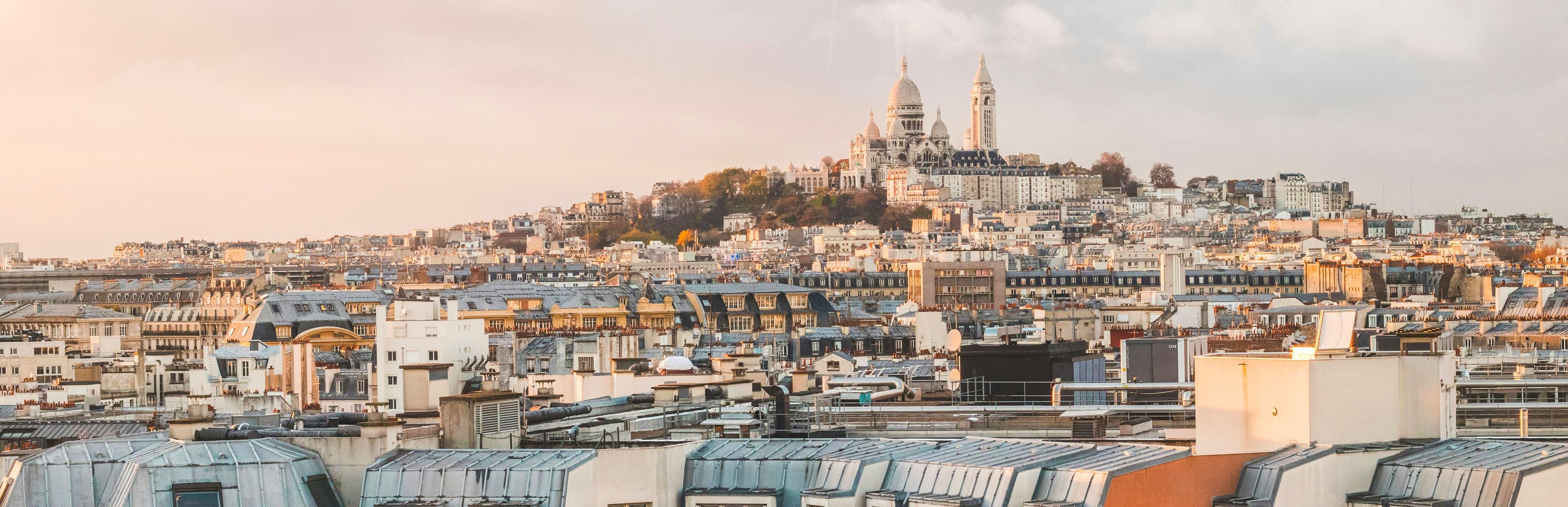 Paris rooftops and skyline