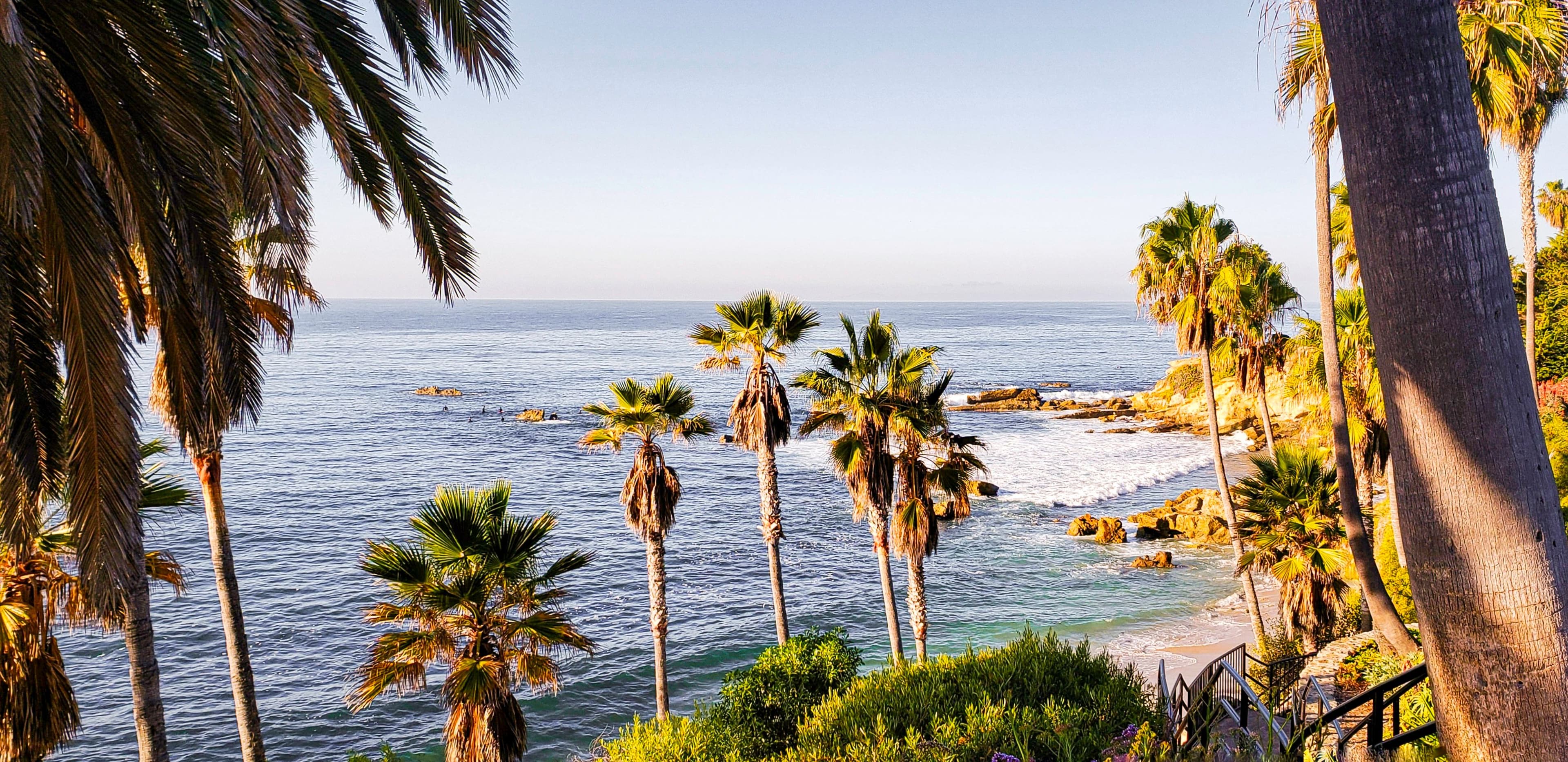 San Diego beach and trees