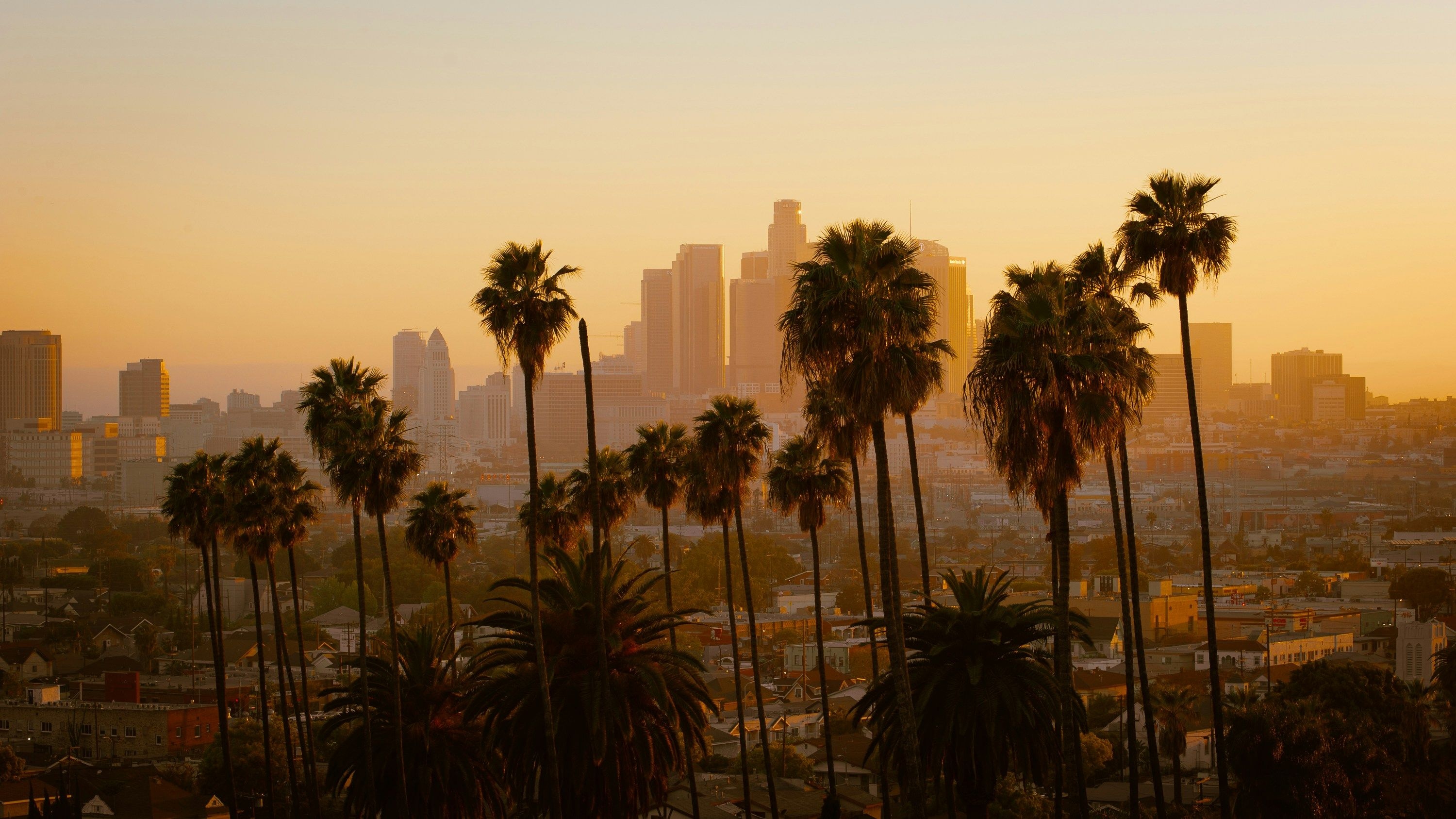 Los Angeles skyline at dusk