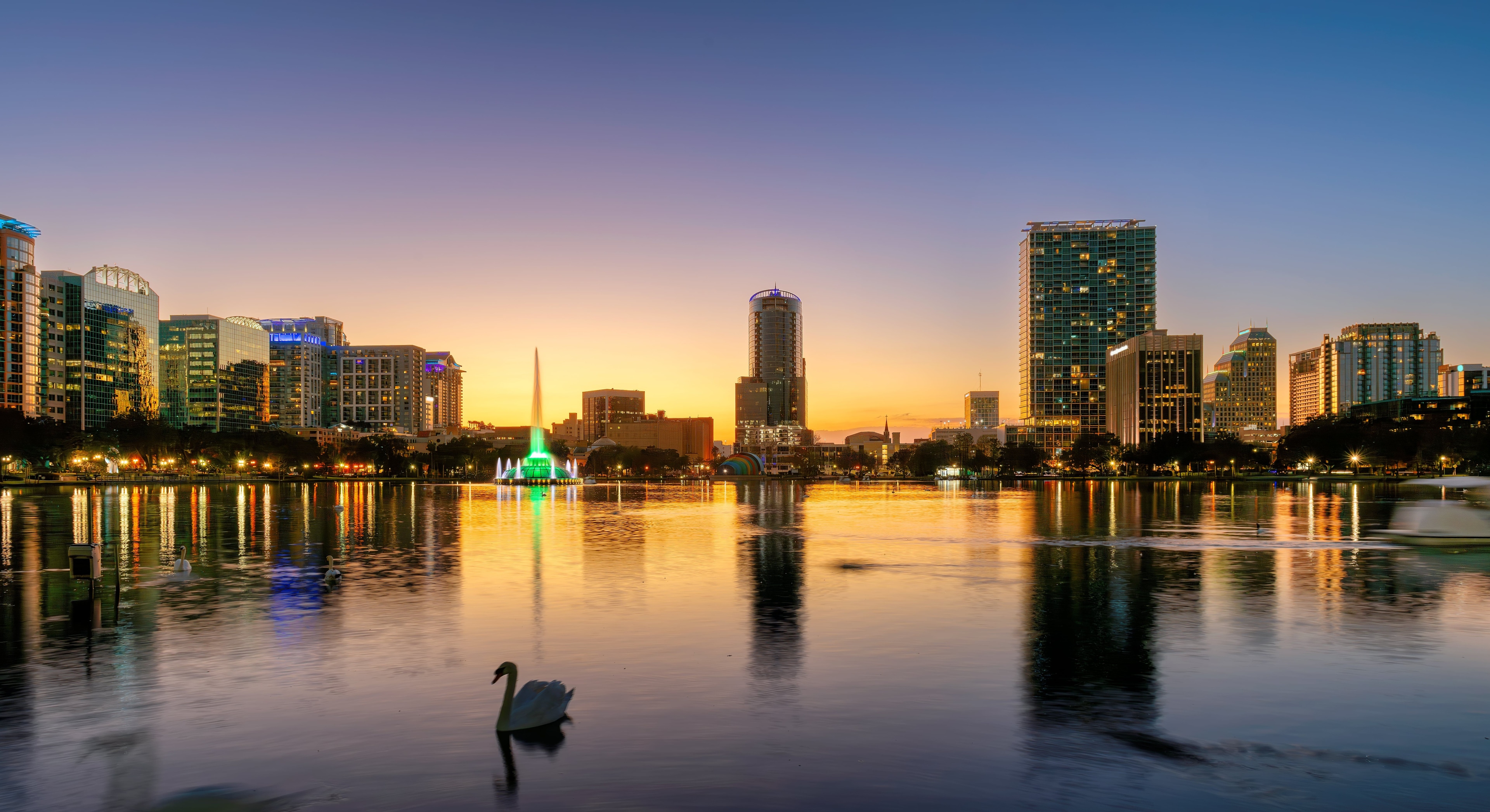 the lake in Orlando with a swan