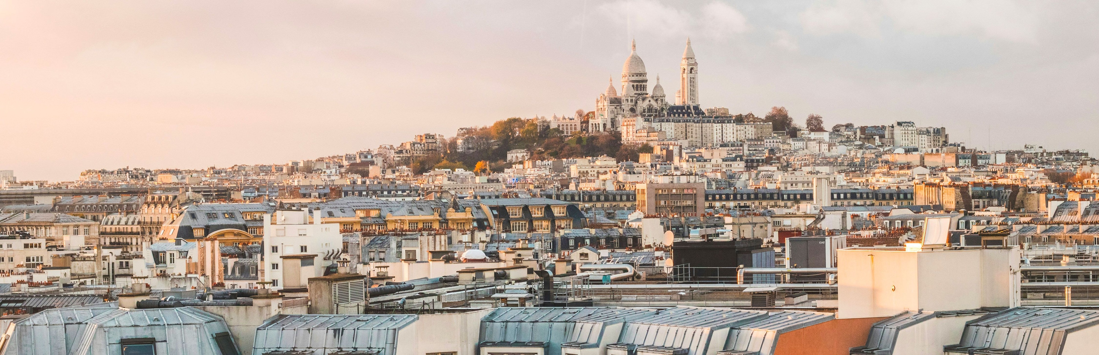 Paris rooftops and skyline